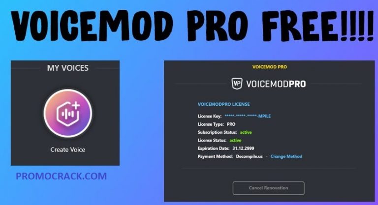 free license key for voicemod pro