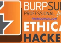 Burp Suite Professional 2022.3 Crack + License Key Download [Mac/Win]